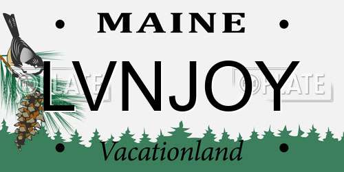 LVNJOY Maine License Plate