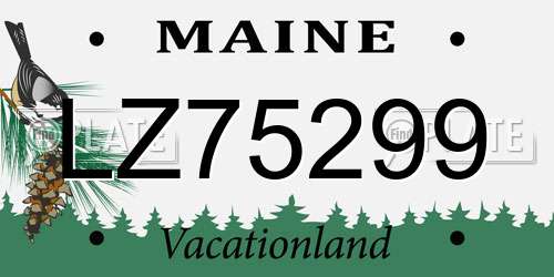 LZ75299 Maine License Plate