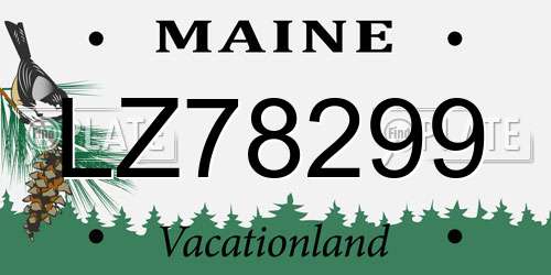 LZ78299 Maine License Plate