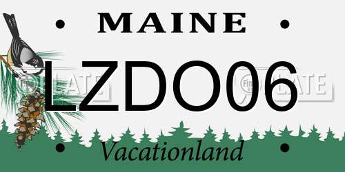 LZDO06 Maine License Plate