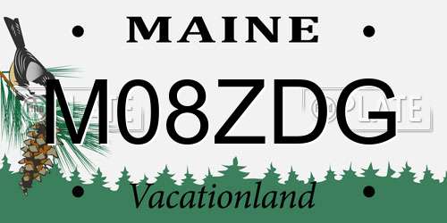 M08ZDG Maine License Plate