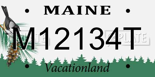 M12134T Maine License Plate