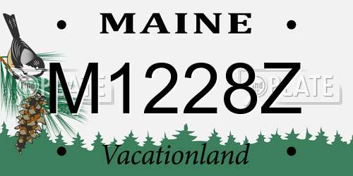 M1228Z Maine License Plate