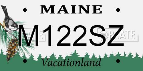 M122SZ Maine License Plate