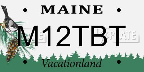 M12TBT Maine License Plate