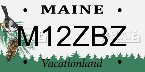 M12ZBZ Maine License Plate