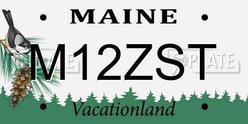 M12ZST Maine License Plate