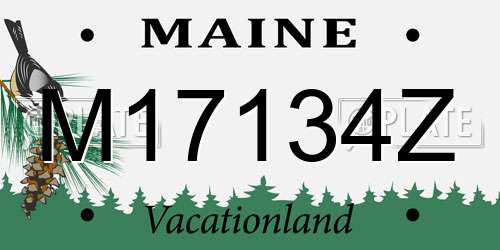 M17134Z Maine License Plate