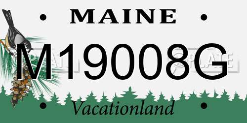 M19008G Maine License Plate