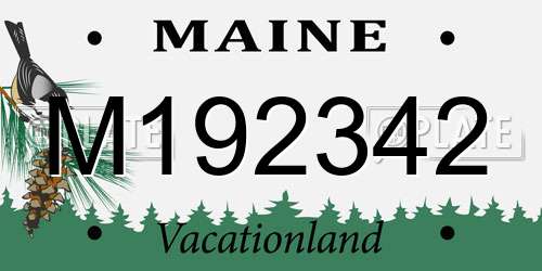 M192342 Maine License Plate