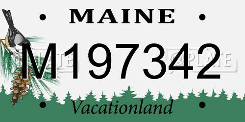 M197342 Maine License Plate