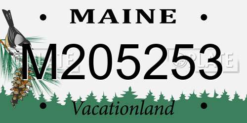 M205253 Maine License Plate