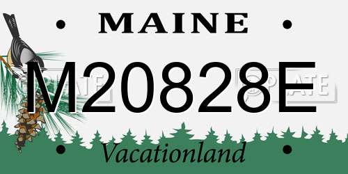M20828E Maine License Plate