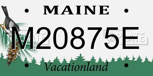 M20875E Maine License Plate