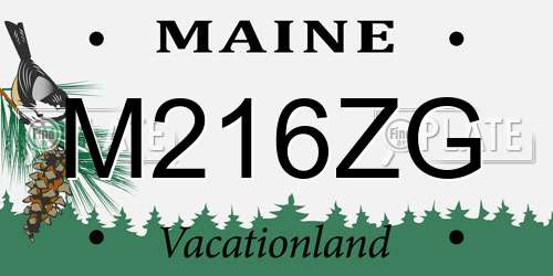 M216ZG Maine License Plate