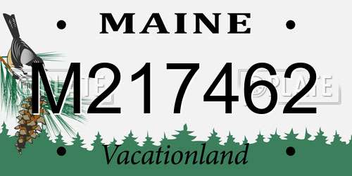 M217462 Maine License Plate