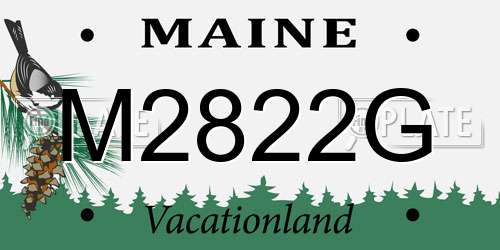 M2822G Maine License Plate