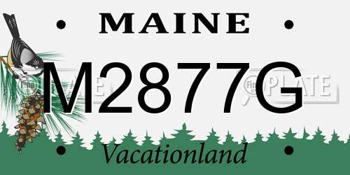 M2877G Maine License Plate