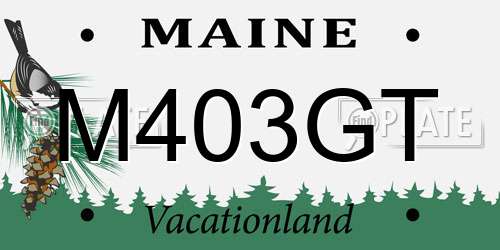 M403GT Maine License Plate
