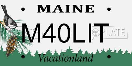 M40LIT Maine License Plate