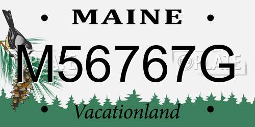 M56767G Maine License Plate