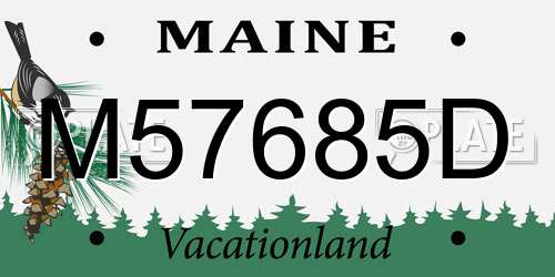 M57685D Maine License Plate