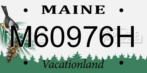 M60976H Maine License Plate