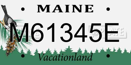 M61345E Maine License Plate