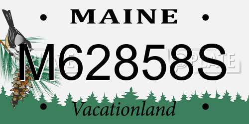 M62858S Maine License Plate