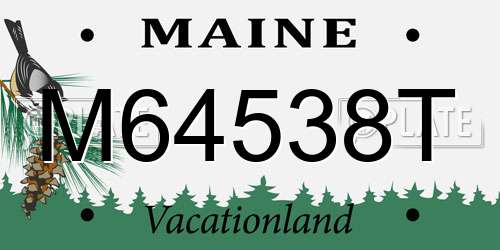 M64538T Maine License Plate