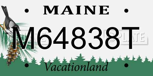 M64838T Maine License Plate