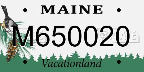M650020 Maine License Plate