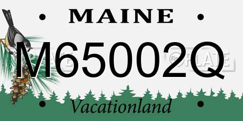 M65002Q Maine License Plate