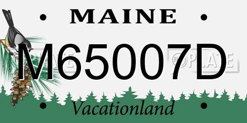 M65007D Maine License Plate