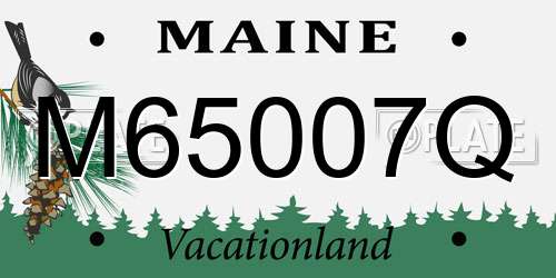 M65007Q Maine License Plate