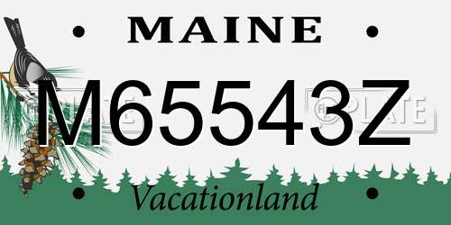 M65543Z Maine License Plate