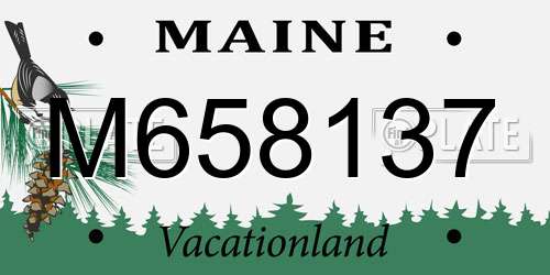 M658137 Maine License Plate