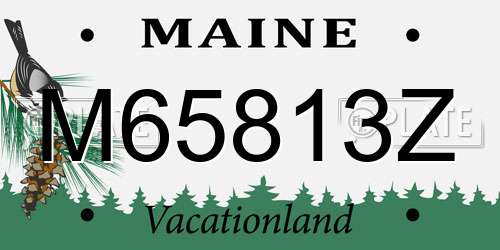 M65813Z Maine License Plate
