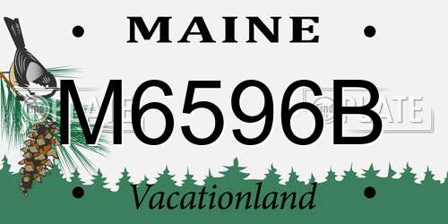 M6596B Maine License Plate