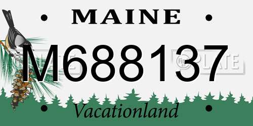 M688137 Maine License Plate