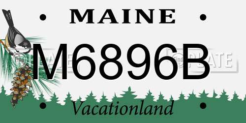 M6896B Maine License Plate
