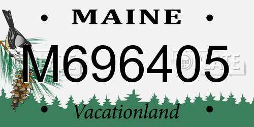M696405 Maine License Plate