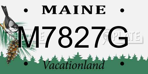 M7827G Maine License Plate