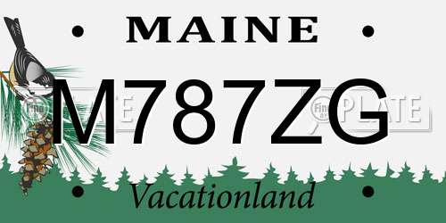 M787ZG Maine License Plate