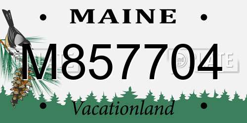 M857704 Maine License Plate