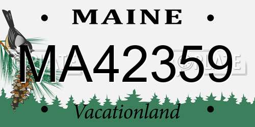 MA42359 Maine License Plate