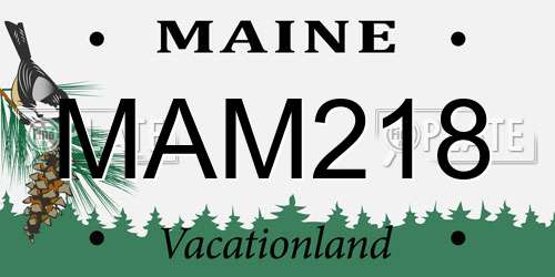 MAM218 Maine License Plate