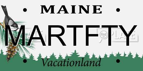 MARTFTY Maine License Plate
