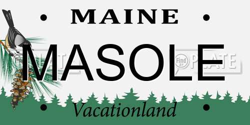 MASOLE Maine License Plate