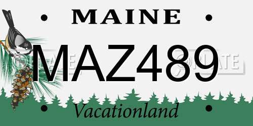 MAZ489 Maine License Plate